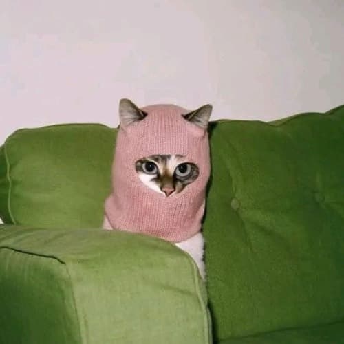 Surrounded - Floriaaan